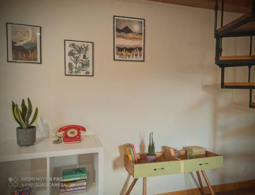 Apartamento Moneda 46