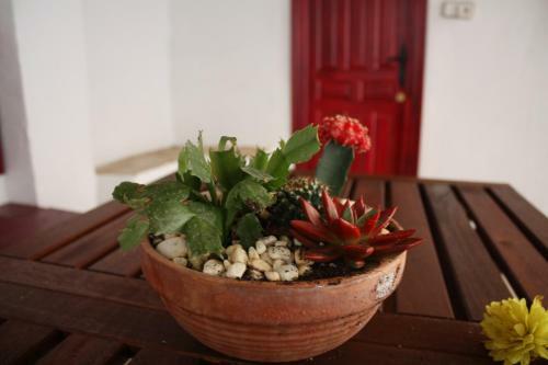 Apartamento La Casa Del Arbol