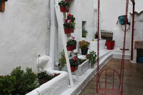Apartamento La Casa Del Arbol