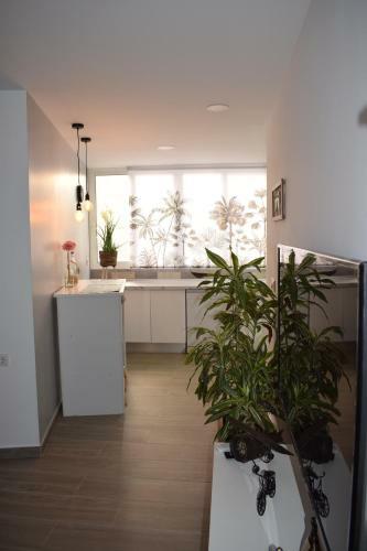 Apartamento Ladevesa