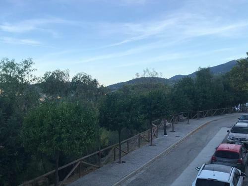 Bosque Alto