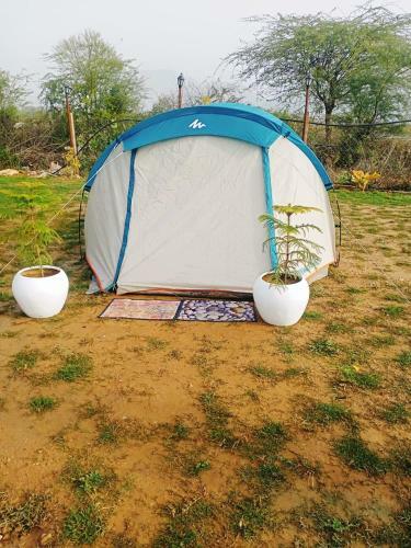 Hotel Medhavan Resort, Sariska