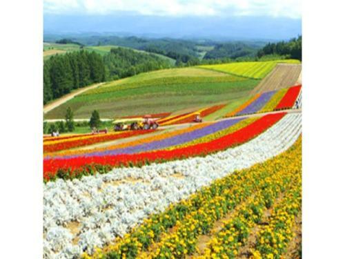 Y's Hotel Asahikawa Ekimae - Vacation Stay 65445v