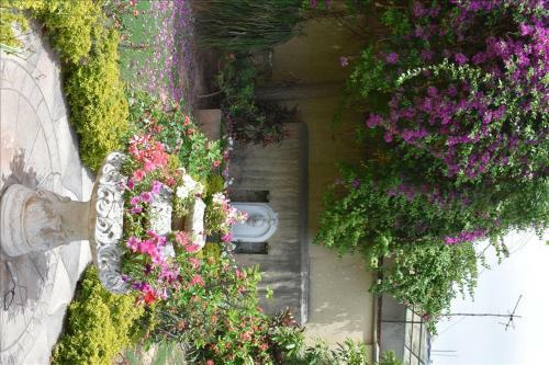 Hotel Royal Crown