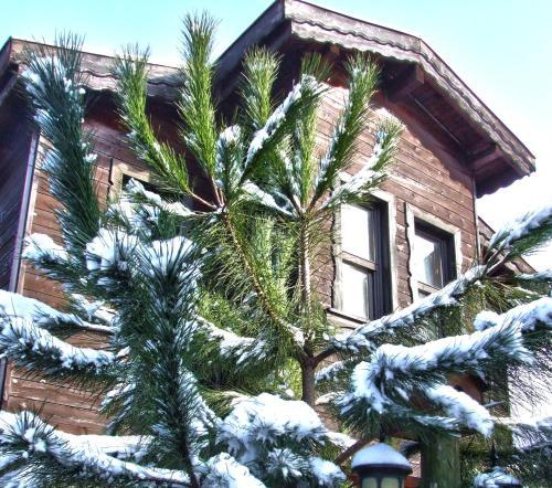 Hostal Piccolo Mondo Hotel