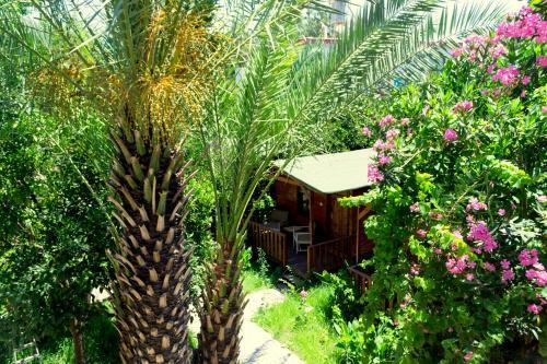 Hostal No:1281 Boutique Hotel