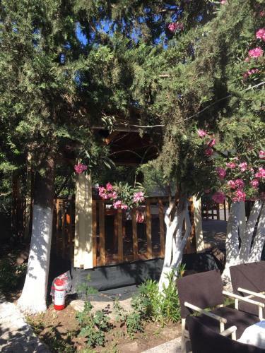 Hostal No:1281 Boutique Hotel