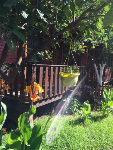 Hostal No:1281 Boutique Hotel