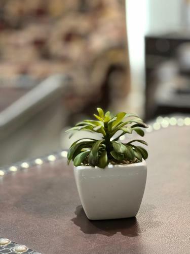 Apartamento Lux Stays One Constitution Ave