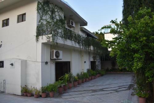 Hostal Elysium 99 Guest House