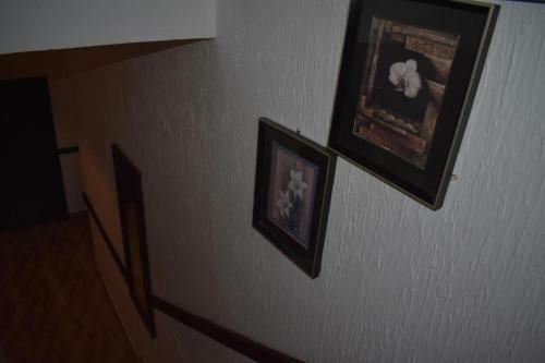 Hostal Elysium 99 Guest House