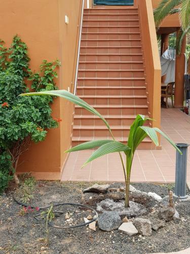 Apartamento Casa Palmer