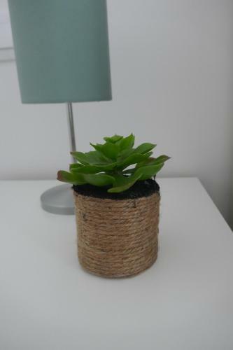 Apartamento Corralejo Sun 312