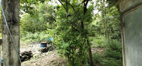 Albergue Homestay Dulngori Syariah