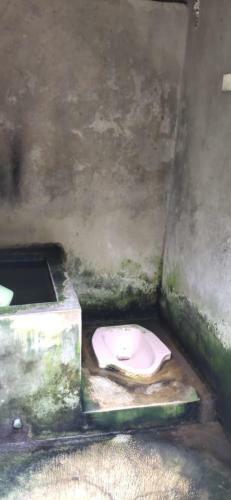 Albergue Homestay Dulngori Syariah