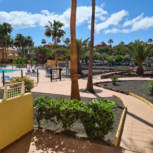 Apartamento Oasis Royal F217