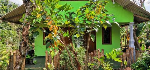 Hotel Evergreen Hostel