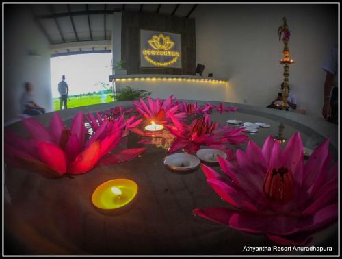 Hotel Athyantha Resort