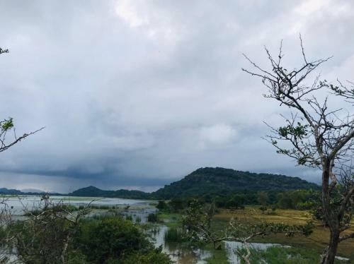 Elephant Lake