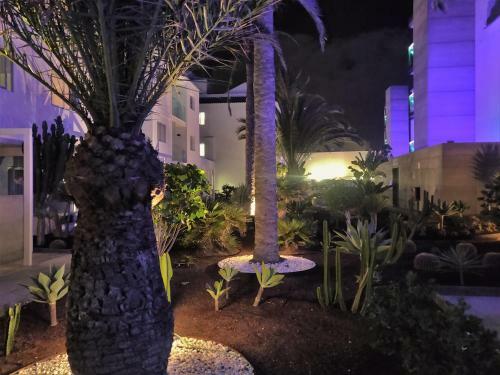 Apartamento Casa Bal�