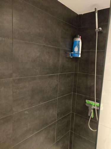 Apartamento Casa Bal�
