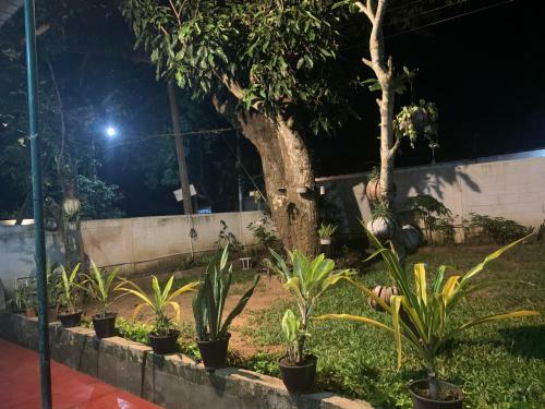 Sobha Holiday Home