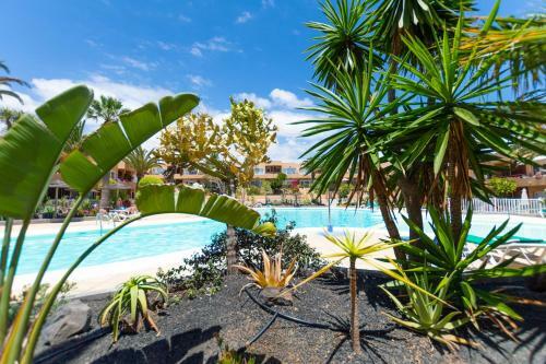 Apartamento Lamoradadelouis