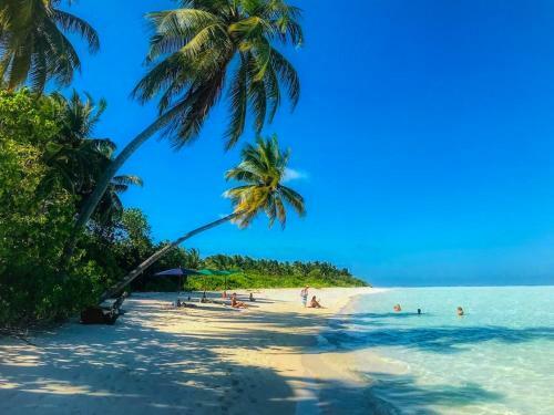 Hotel Hevana Holidays