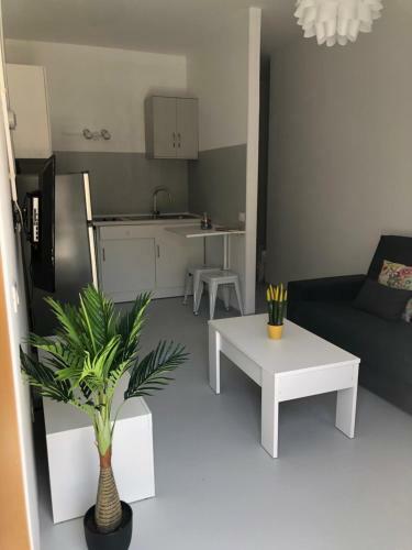 Apartamento Central