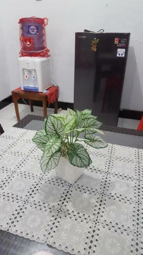 Hostal R2 Guest House