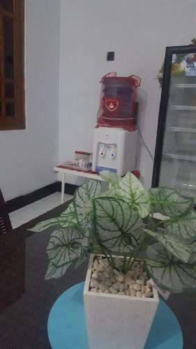 Hostal R2 Guest House
