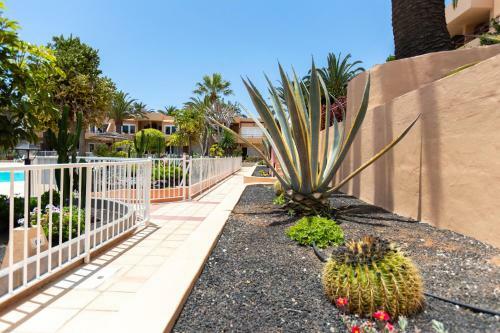Apartamento Sol