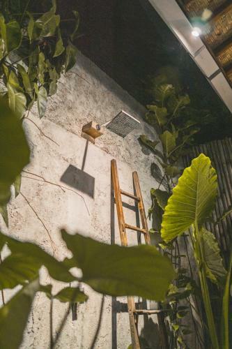 Adara Homestay