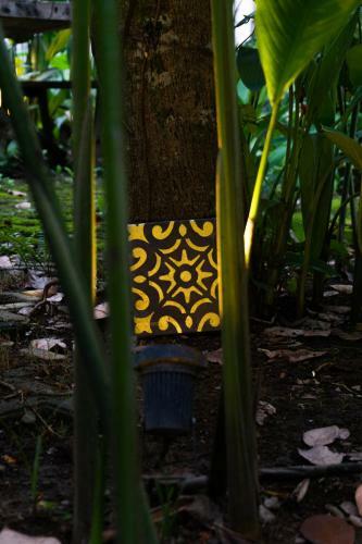 Adara Homestay