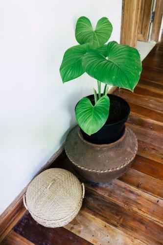 Adara Homestay