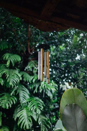 Adara Homestay