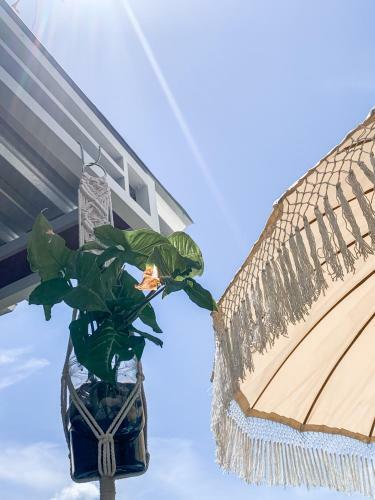 Tropical Paradiso Homestay