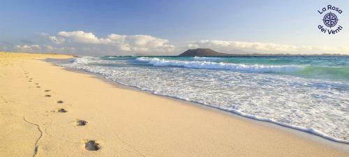 Apartamento Rosa Dei Venti Sea View - 4 Persons - Wifi Free