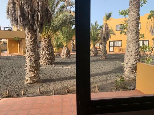 Apartamentos Corralejo Playa Oasis