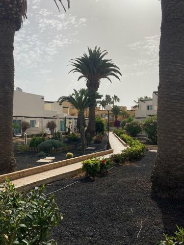 Apartamento Alisios Dream