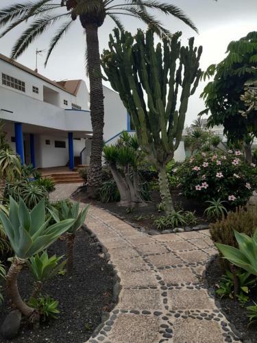 Corralejo Beach Apartament