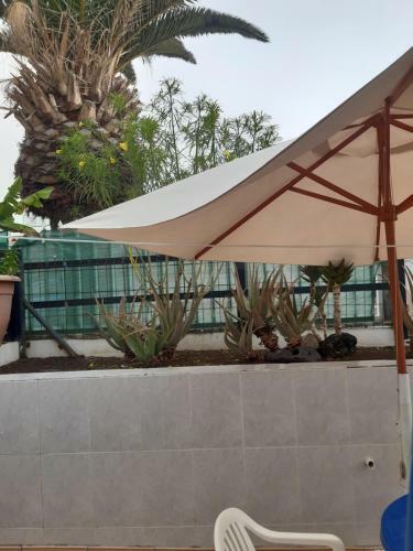 Corralejo Beach Apartament
