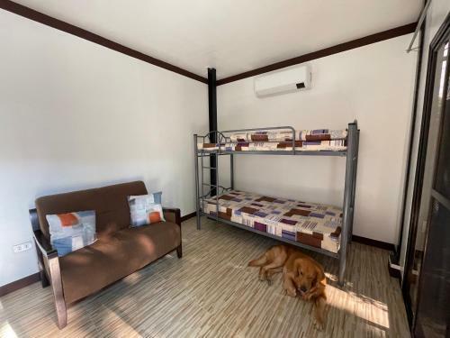 Hostal Chillax Private Resort