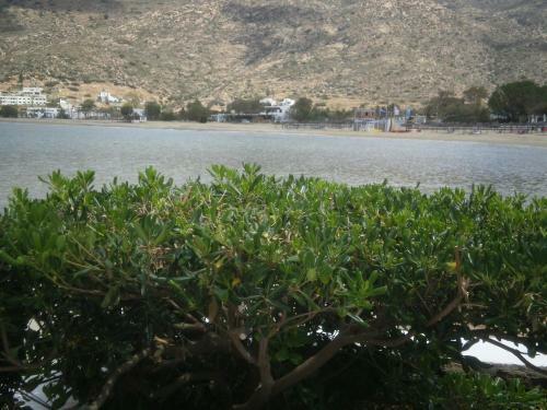 Hotel Gorgona
