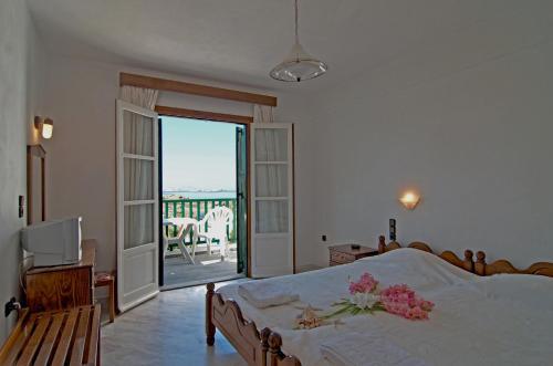 Alex Hotel