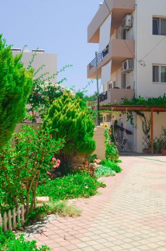 Apartment Home