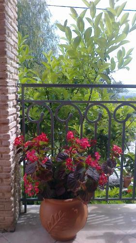 Hostal Anatoli Labreon