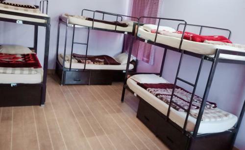 3monkeys Backpacker's Hostel