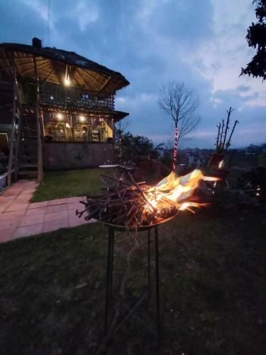 Hotel Green Palm Boutique Resort