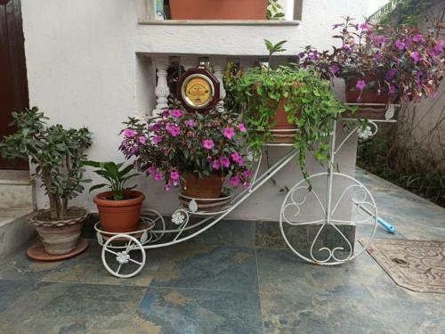 Peace Home Apartment